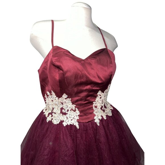 Hebeos Burgundy Tulle Short Party Dress Size Sz XL Womens Lace Appliqué Spaghett - Picture 3 of 9